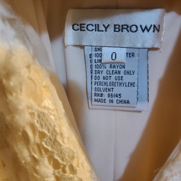 Cecily Brown Wedding/Prom Floor Length Formal Dress. Size 0 - Picture 12 of 13